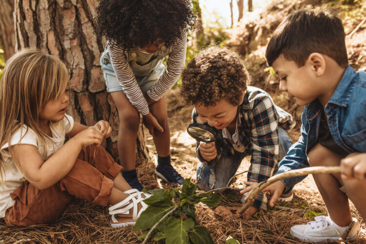 Teaching Kids About Native Plants, Hunting and Foraging